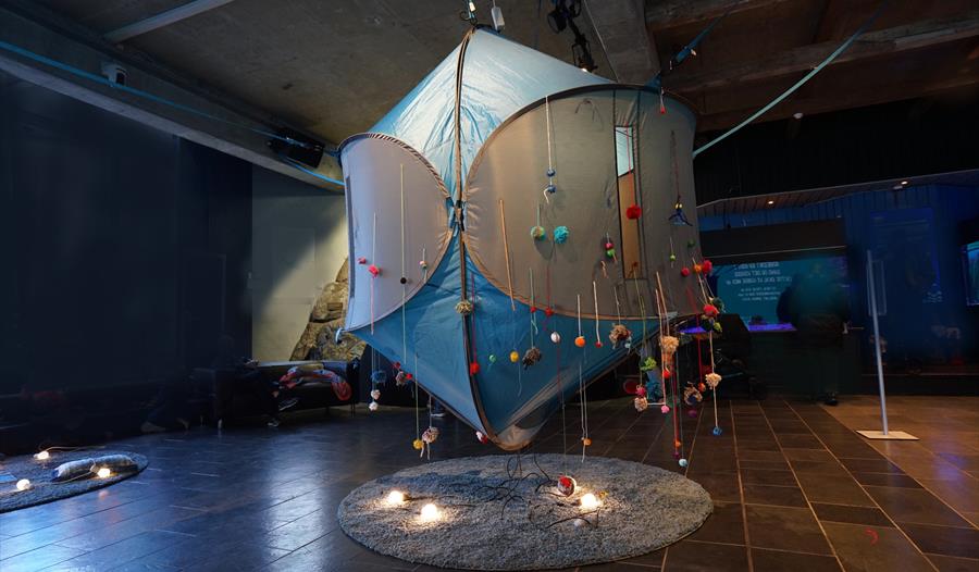 Foto: Fra "Dykkerklokken", Akvariet i Bergen, 2025.