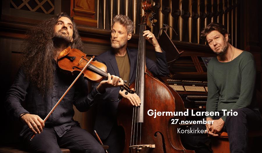 Gjermund Larsen Trio