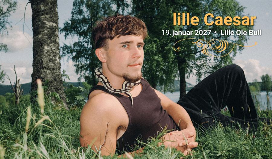 lille Caesar