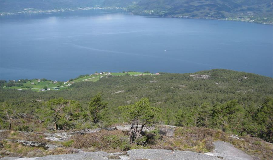 Grotnes sett ovanfrå
