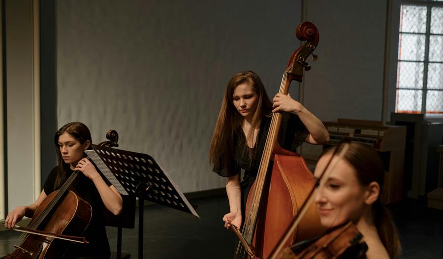 A Woman Playing Brown Cello