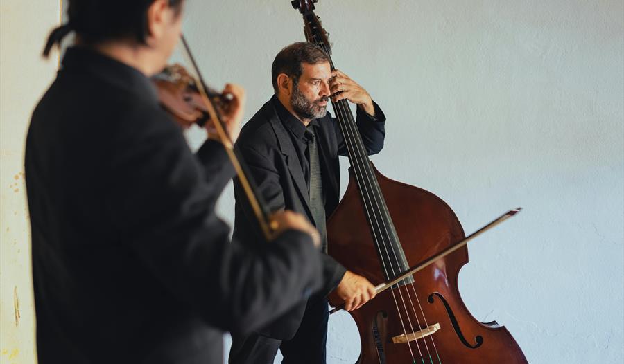 Musicians Playing Stringed Instrument