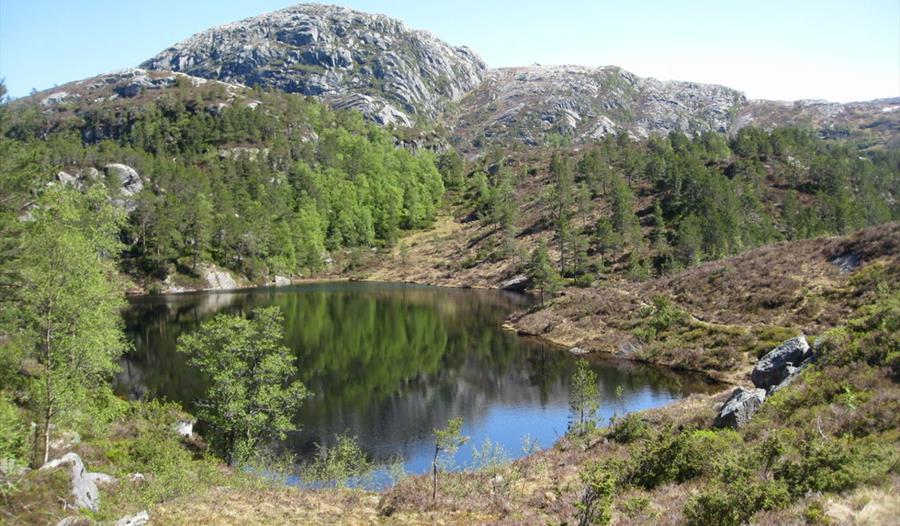 Raunlivatnet badar i sol