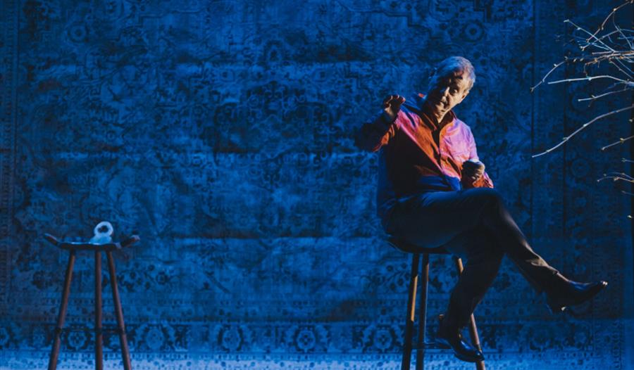 Et bilde av den norske skuespilleren Svein Tindberg.