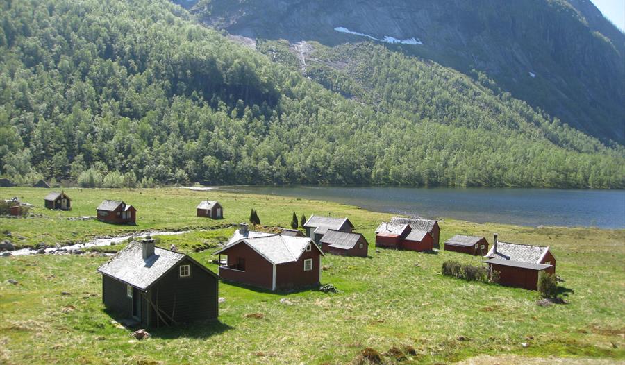 Torsnesstølen/Fjelltveit