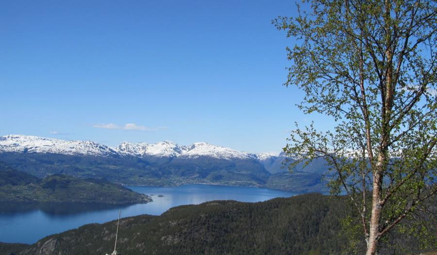 Utsikt over fjorden frå Fjellstøl