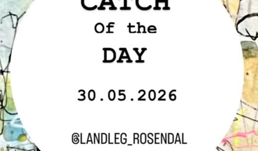 Catch of the day