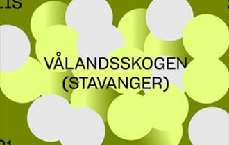 Gule og hvite sirkler med skrift på.