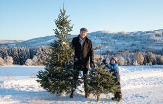 Hogg ditt eget juletre