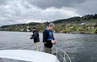 Fiske fra båten