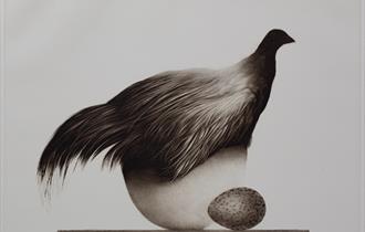Erling Valtyrson "Høne på egg"