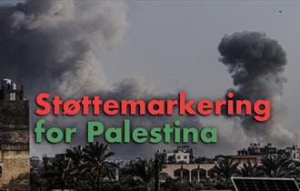 Støttemarkering for Palestina