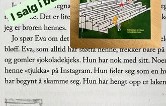 Handlinga foregår i ei bygd på taigaen. Supersøster Jo og broren Odd Steffen bor også der. De digger fotball! Innbyggerne lever av å plante skog. De hjelper jorda med å puste, for trærne renser lufta som alle trenger. Taigaen er verdens største barskogbelte, og innbyggerne er stolte av skogen sin, men ikke alle har gode hensikter. Noe begynner å skurre og murre i bygda.