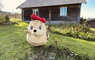 Bolla Pinnsvin i potetåkeren