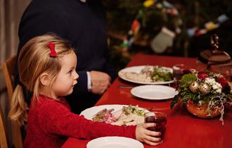 Familiejulebord