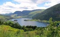 Kveldscruise Barsnesfjorden