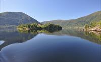 The Fjords - fjordcruise and fishing on your own!
