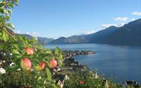 Henjatunet, Leikanger