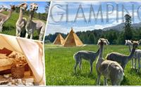 Alpakka Glamping