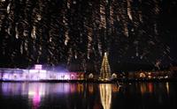 Lysfesten