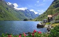 Nærøyfjord Sightseeing rundtur