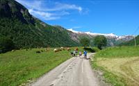 Mundal, Fjærland