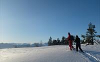 Trugetur Balestrand