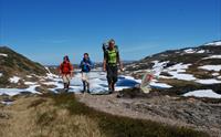 Stølsheimen