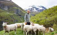 Avdalen Gard, Årdal