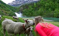 Adventure Tours - Fjell, fiske & sykkel