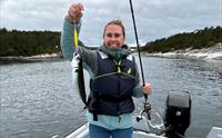 Øygarden Opplevelser