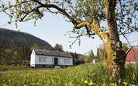 Hvit trehus i Nestunet omgitt av grønn eng og blomstrende trær med fjell i bakgrunnen.