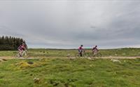Nordsjørittet bike race