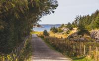 Vakker natur i nærheten