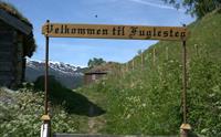Fuglesteg
