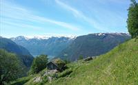 Fuglesteg