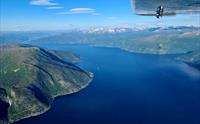 Flesland Fly