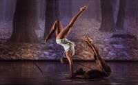Acosta Danza Cuban Eclectico