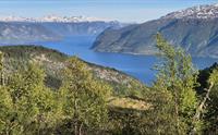 Mælen, Leikanger