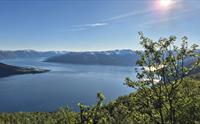 Mælen, Leikanger