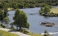 Utsikt over elven nedenfor campingplassen.