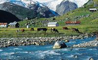 Austerdalsbreen Glacier Veitastrond