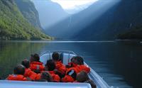 Fjord safari