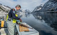 Balestrand Fjord Angling
