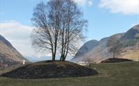 Moahaugane, Vik