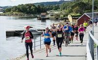 People running a marathon