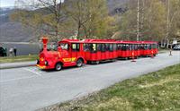 Rallartoget, Flåm