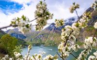 Flåm