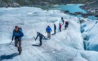 Fjord Active Glacier Tour