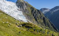 Flatbreen / Supphellebreen